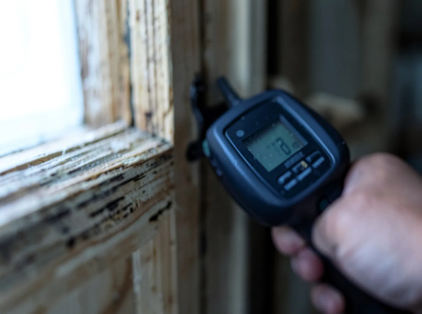 Moisture Inspection And Documentation in Platinum, AK